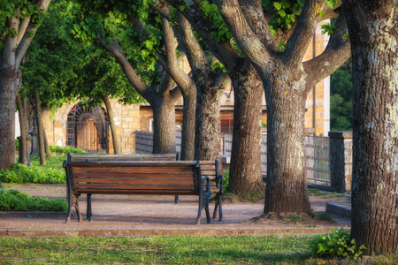 Bench in the park among the trees.の写真素材