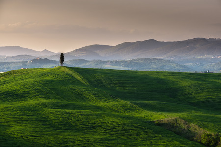 Fantastic land covered with green magic spring.の写真素材