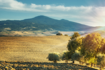 Very summer landscapeの写真素材