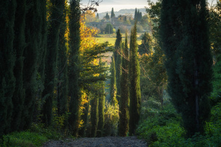 Surrounding the Sarteano in the Tuscany landscapes.の写真素材