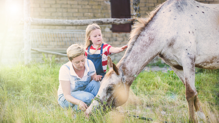 Mother and daughter feeding a horse an apple in the stud.の写真素材