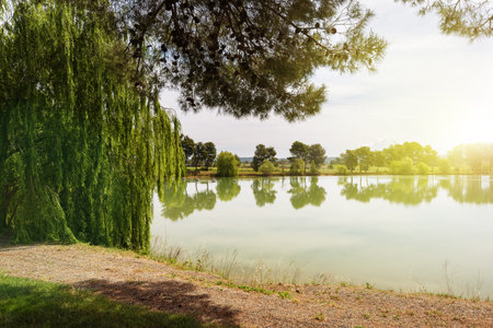 Wild lake surrounded by beautiful spring trees.の写真素材