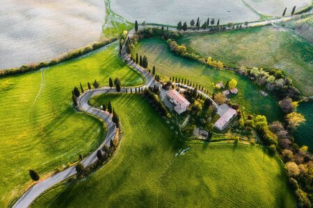 Spring flying on the landscape at sunset over blooming fieldsの写真素材