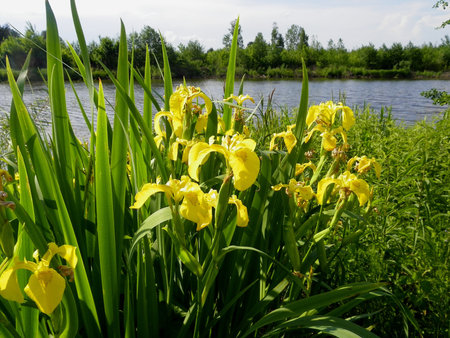 On the riverside