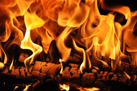 Conflagrant firewoods の写真素材