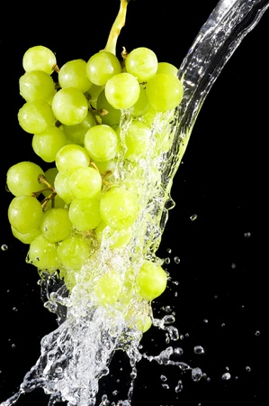 Grapes and splashing water on black background
の写真素材