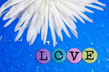 
Background from valentineÕs day. White flower and Love 
の写真素材