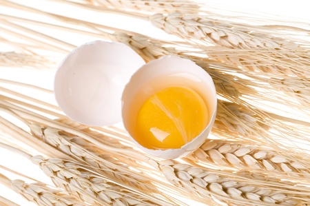 Background with gold wheat and eggの写真素材