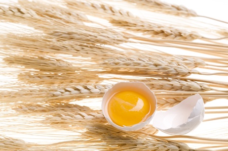 Background with gold wheat and eggの写真素材