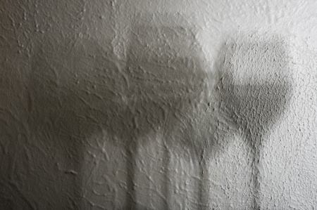 Shade wineglass on creative background
の写真素材