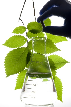 Retort and leaf on the white background
の写真素材