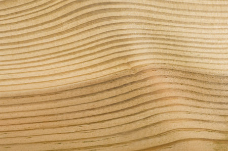 Texture wood. Rough materialbackground