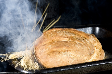 Fresh brean on the oven. Organic food
の写真素材