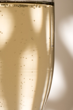 Glass with shampagne on the creative background
の写真素材
