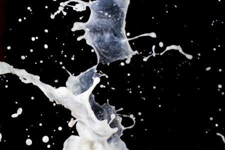 Splashing milk on  the black backgroundの写真素材