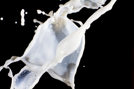 Splashing milk on  the black backgroundの写真素材