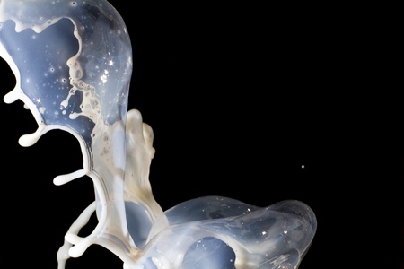 Splashing milk on  the black backgroundの写真素材