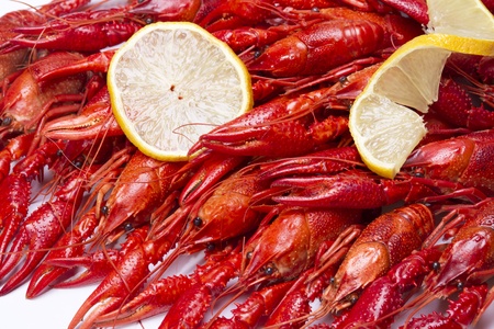 Red crayfish. Fresh seafoodの写真素材