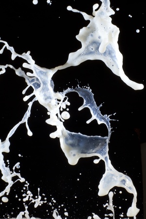 Splashing milk の写真素材