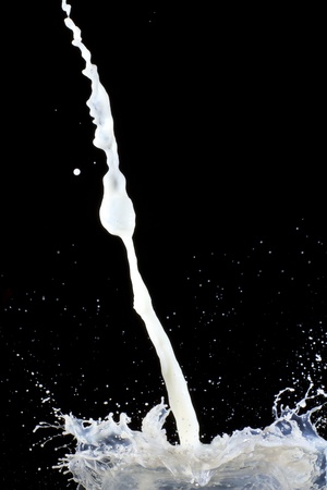 Splashing milk の写真素材