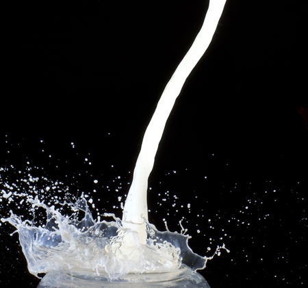 Splashing milk の写真素材