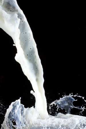 Splashing milk の写真素材