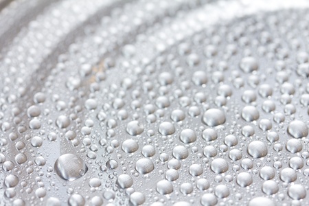 Water dropsの写真素材