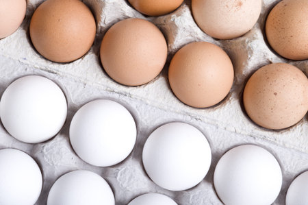 Chicken eggs,white and brown. Background with egg