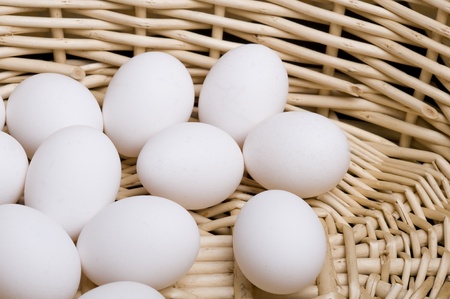 Close-up white chicken eggs on a bed of straw
の写真素材