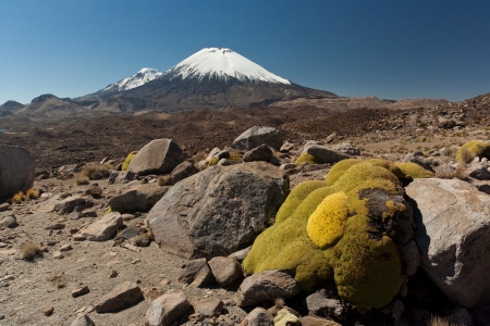 Snowcap Volcano at Chile- Bolivian borderの写真素材