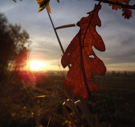 Sunrise over the Czech countrysideの写真素材