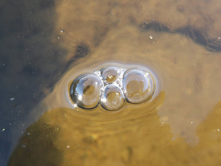 air bubble on the surface of the dam Sec