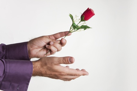 a man giving a rose to the woman he lovesの写真素材