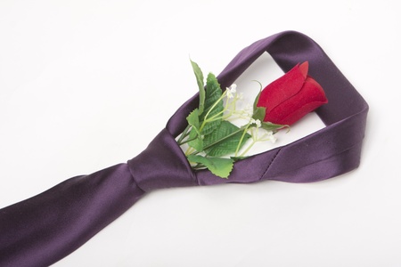 a tie and a rose for Valentine's Dayの写真素材