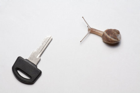 a shell walking towards a keyの写真素材