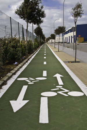 a bike lane painted green