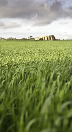 a field with wheat grown and an ancient monument in the backgroundの写真素材