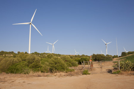 a wind farm to provide electricity in an environmentally friendly manner