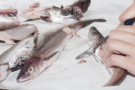 a cook preparing fish for cookingの写真素材