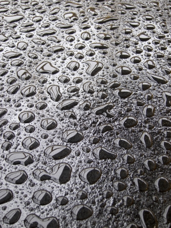 Texture water drops, rain, on black metalの写真素材