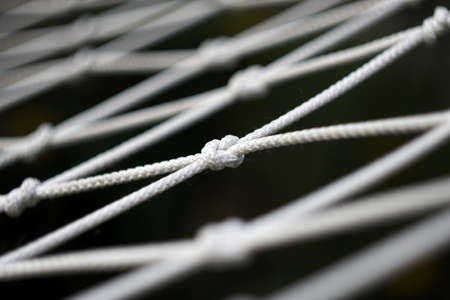 my hammockの写真素材