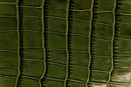 close up of a piece of leatherの写真素材