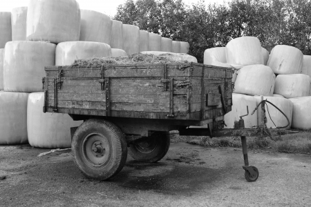 A trailer at a Belgian dairy farmの写真素材
