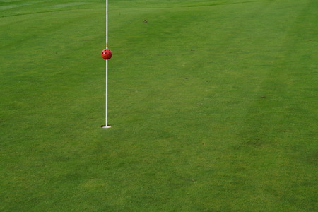Golf Green - puttingの写真素材
