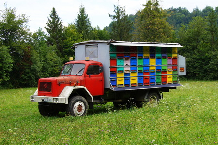 Beehive truckのeditorial素材