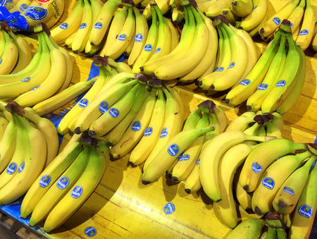 Fresh yellow Chiquita bananas on display in a groceries store.のeditorial素材