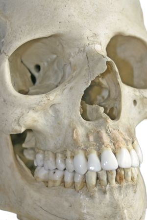 Human skull against white backgroundの写真素材