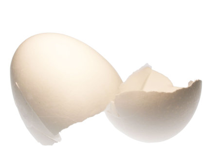 Eggshells