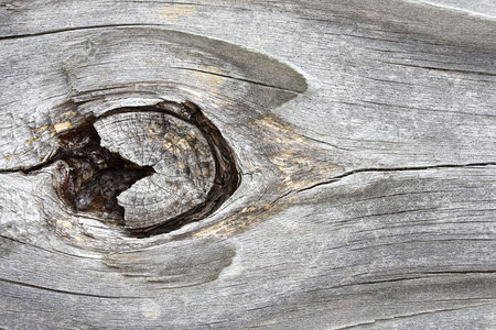Large knot in weathered wood plank