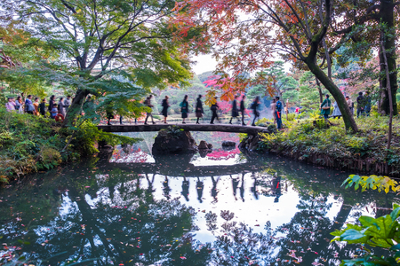 Colorful autumn in rikugien Japan; 20th November 2016のeditorial素材